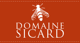 logo DOMAINE SICARD